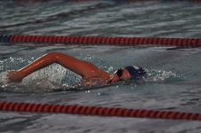 Enlarge photo 129