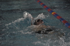 Enlarge photo 135