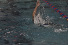 Enlarge photo 137