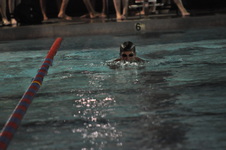 Enlarge photo 140