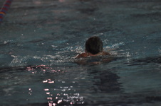 Enlarge photo 147