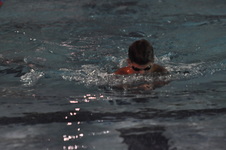 Enlarge photo 149