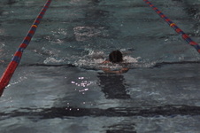 Enlarge photo 151