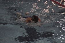 Enlarge photo 161
