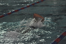 Enlarge photo 164