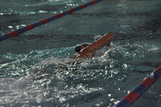 Enlarge photo 165