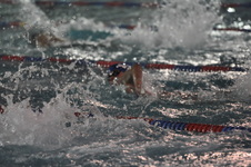 Enlarge photo 168
