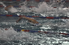 Enlarge photo 169