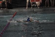 Enlarge photo 186