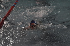 Enlarge photo 196