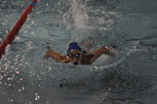 Enlarge photo 197