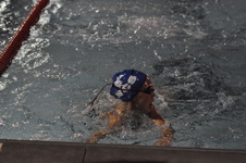 Enlarge photo 198