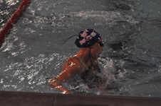 Enlarge photo 199