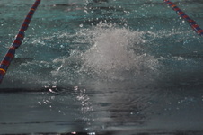 Enlarge photo 205