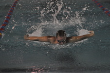 Enlarge photo 206