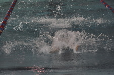 Enlarge photo 207