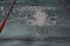 Enlarge photo 209