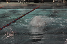 Enlarge photo 217