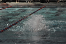 Enlarge photo 220