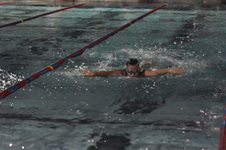 Enlarge photo 222