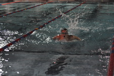Enlarge photo 223