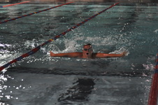 Enlarge photo 224