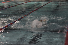 Enlarge photo 225