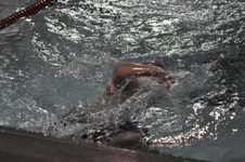 Enlarge photo 229