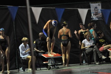 Enlarge photo 230