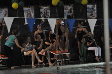 Enlarge photo 231