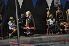 Enlarge photo 232