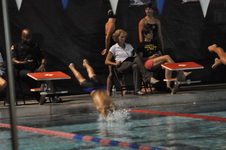 Enlarge photo 235