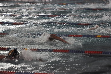 Enlarge photo 236