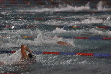 Enlarge photo 237