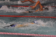 Enlarge photo 238
