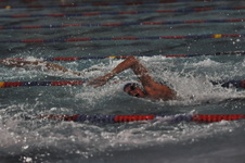 Enlarge photo 239