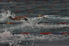 Enlarge photo 240