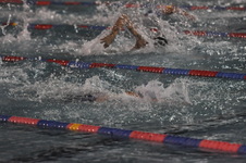 Enlarge photo 242