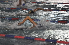 Enlarge photo 243