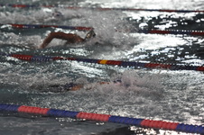 Enlarge photo 244