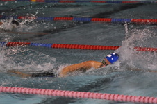 Enlarge photo 245