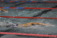 Enlarge photo 247
