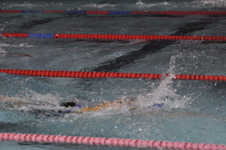 Enlarge photo 248