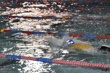 Enlarge photo 249