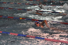 Enlarge photo 251