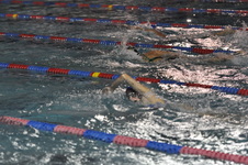 Enlarge photo 252