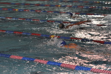 Enlarge photo 253