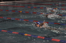 Enlarge photo 254