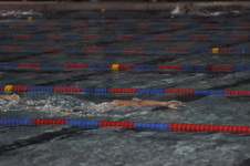 Enlarge photo 259