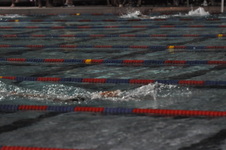 Enlarge photo 260